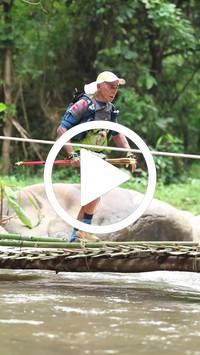 BIB:  <button type="button" onclick="openModal(26801065)" class="btn btn-primary btn-sm float-right" data-toggle="modal" data-target=".modal-high-quality">
                <i class="fa fa-download"></i> Download
                </button>